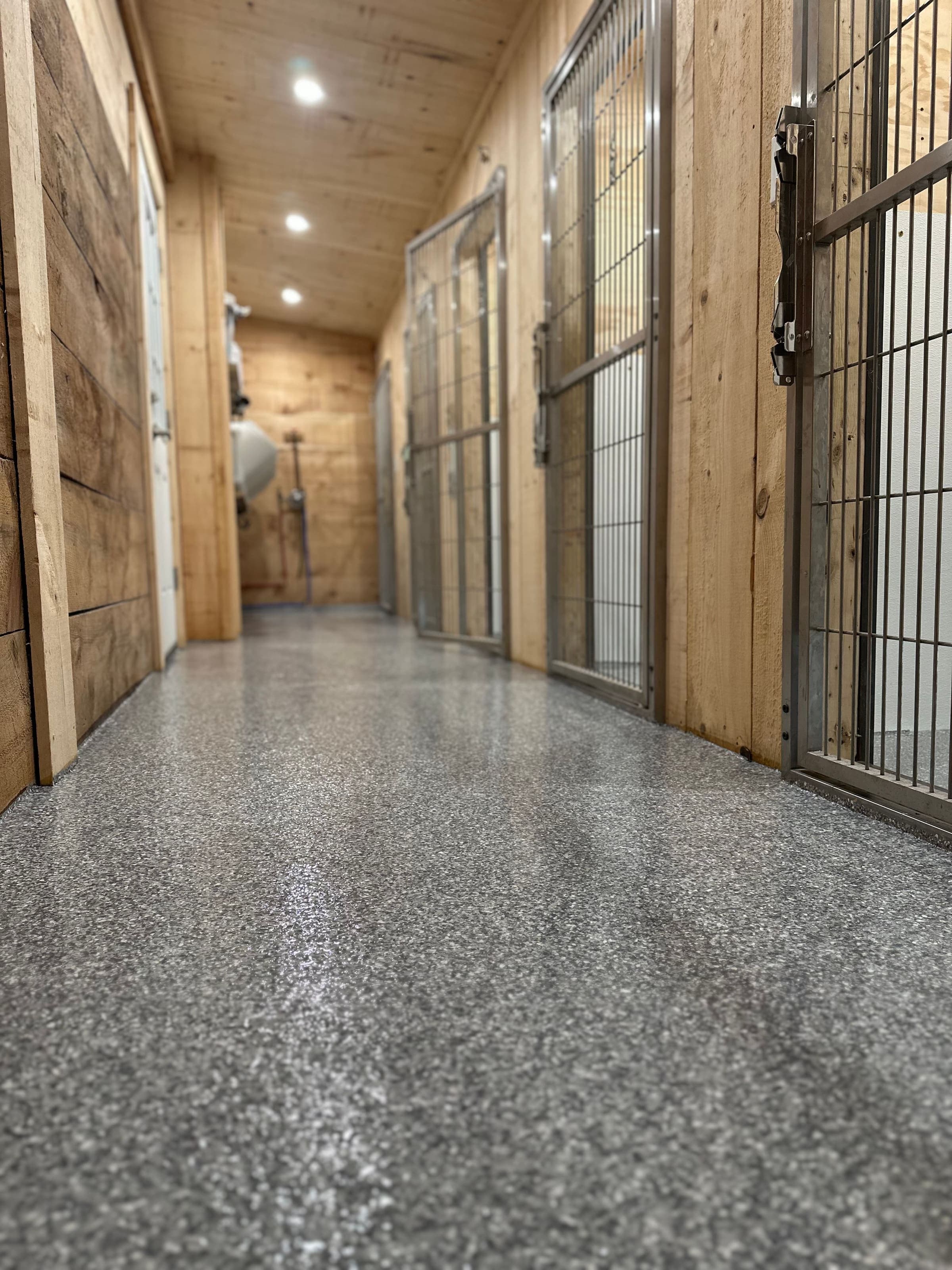 Kennel aisle with flake epoxy floor